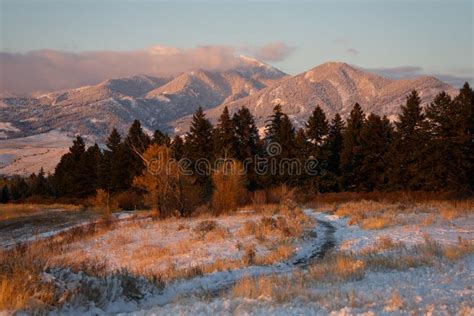 Alpenglow on the Bridger Mountains in Bozeman, Montana Stock Photo ...