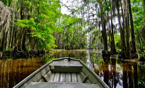 For the Canoers and Kayakers: Caddo Lake State Park | Houstonia