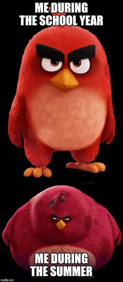 Red Angry Bird Meme