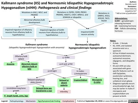 Kallmann Syndrome