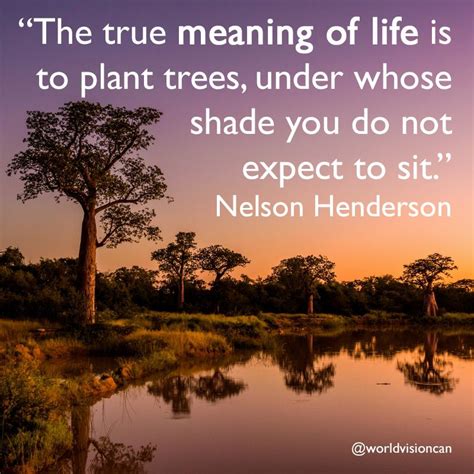 "The true meaning of life is to plant trees, under whose shade you do not expect to sit ...