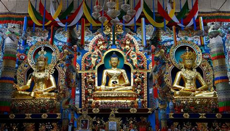 Bylakuppe, the largest Tibetan settlement in Southern India - Beyonder