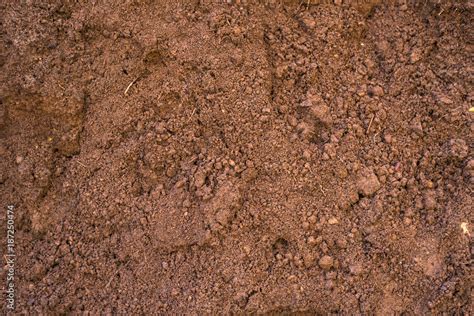 Sandy loam - soil background, texture Stock Photo | Adobe Stock