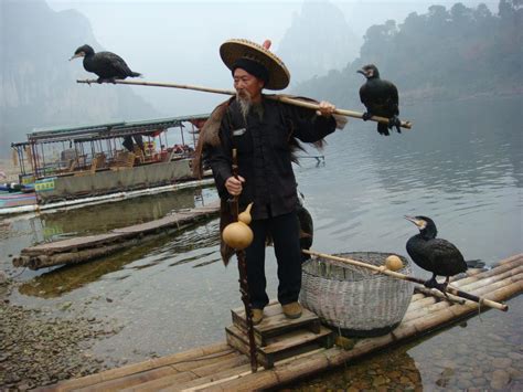 Incredible Things: Cormorant fishing