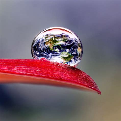 Macro Photography Reveals Water Droplets as Miniature Works of Art