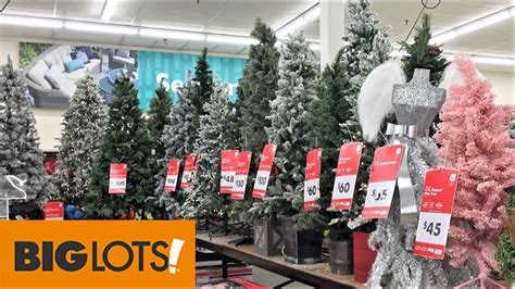 Home Decor : 12 Big Lots Christmas Decorations New CHRISTMAS TREES AT BIG… | Outside christmas ...