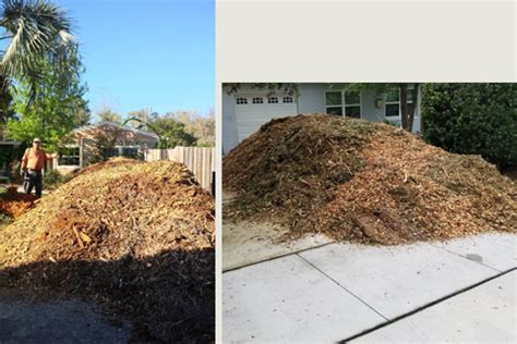 FREE Mulch Delivered in Orlando : Free Wood Chips Oviedo : Orlando Tree Service Company