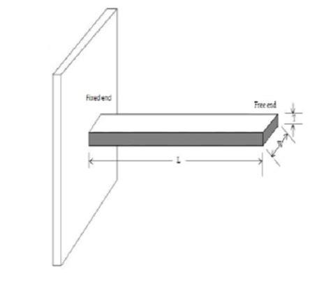 Identification of multiple crack locations in micro cantilever beam by wavelet transforms