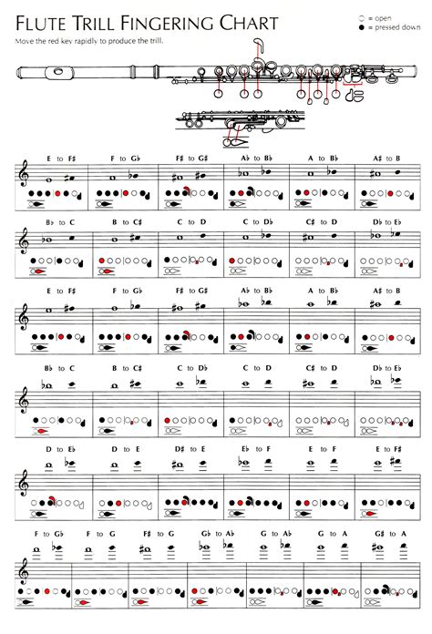 Printable Flute Finger Chart