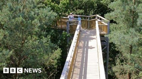 Salcey Forest: Plans to reopen tree top walkway revealed - BBC News