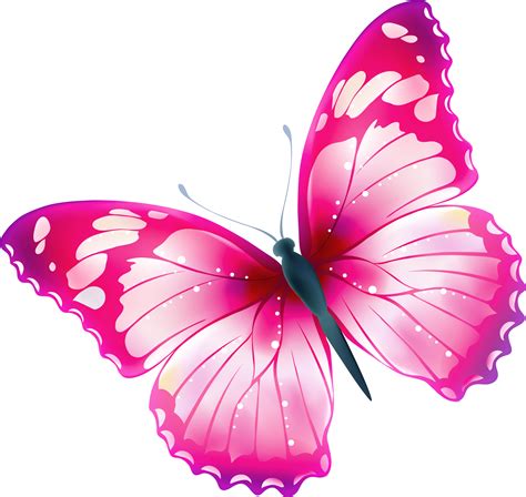 clip art butterfly transparent - Clip Art Library