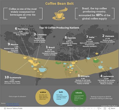 Coffee Bean Belt Map