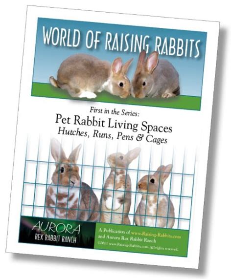 Plans for building rabbit cages. Many plans for ideal DIY rabbit cages ...