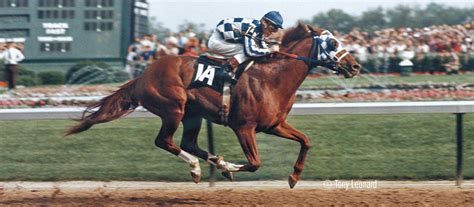 Secretariat, America's Horse | Kentucky Derby Museum