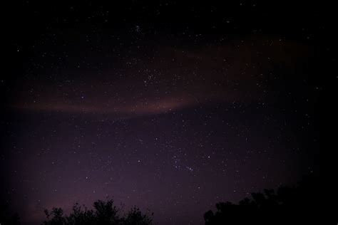 M42 and M45 from night sky in Florida | The Planetary Society