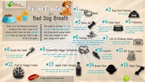 15 Home Remedies for Bad Dog Breath - Home Remedies