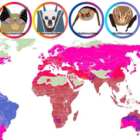 Tiger Subspecies Habitat Map