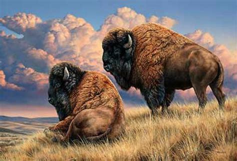 Rosemary Millette Prairie Monarch Bison Bufallo A/P Art Print | Bison art, Wildlife art, Buffalo art