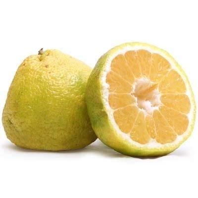 Ugli fruit - Alchetron, The Free Social Encyclopedia