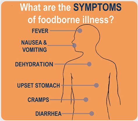 Food Poisoning Symptoms And Pregnancy