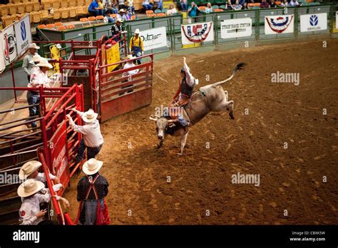 Texas Fort Worth Stockyards Rodeo High Resolution Stock Photography and ...