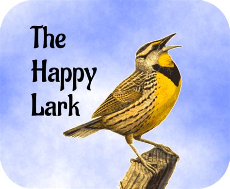 5DofM: The Happy Lark