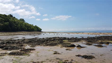 Beautiful beach Thorness Bay in Cowes Isle of Wight UK. [OC] 2560x1440 https://ift.tt/2kRNC60 ...