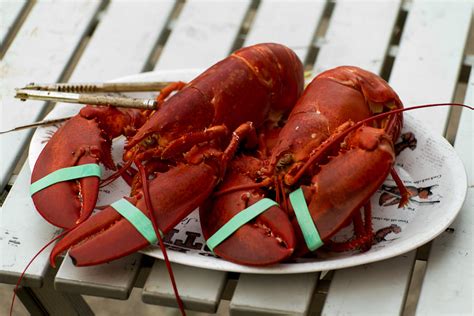 Lobster Feast Photograph by Denis Therien - Fine Art America