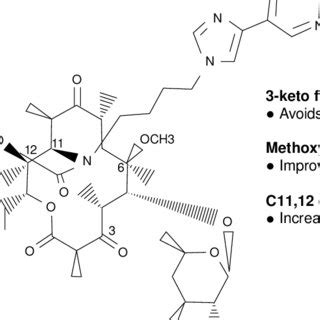 (PDF) Structure-activity relationships of ketolides vs. macrolides