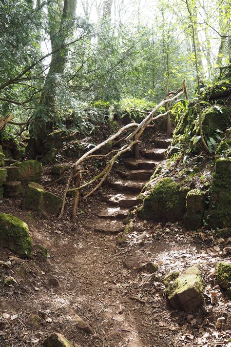 The Magical Ancient Woodland Of Puzzlewood | Melissa Jane Lee