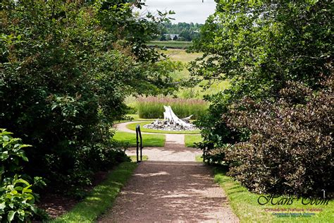 Canadian Nature Visions | Annapolis Royal Gardens