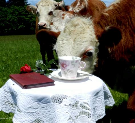 The Traveling Teacup Visits A Farm ~ Stop #1 - Mantel and Table