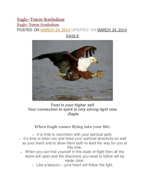 Falcon Images: Golden Eagle Spirit Animal Meaning