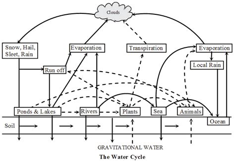 What is the Biogeochemical Cycle - CBSE Library