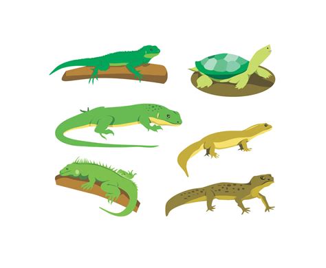 Reptile Vector at Vectorified.com | Collection of Reptile Vector free ...