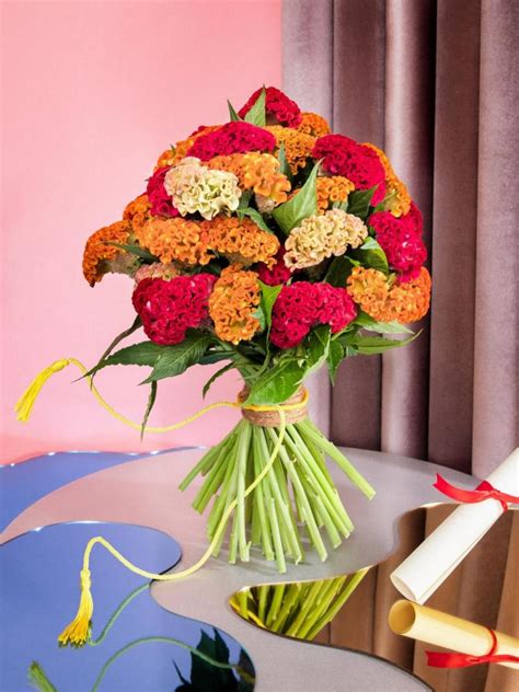 Motivate yourself with a Celosia bouquet | Funny How Flowers Do That