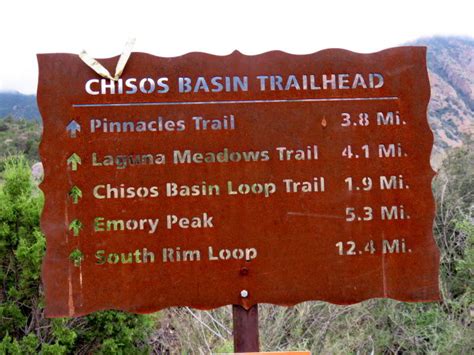 Big Bend National Park Best Trails for Solo Hikers