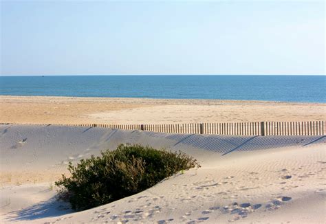 What Is Sand Fence? - DeerBusters.com