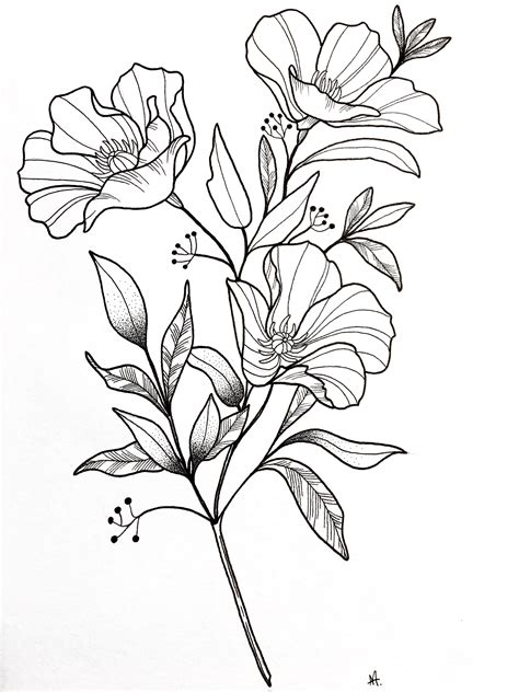 Line Drawing Simple Line Art Flowers - Download Free Mock-up