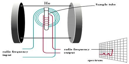 Nuclear Magnetic Resonance Spectroscopy - Assignment Point