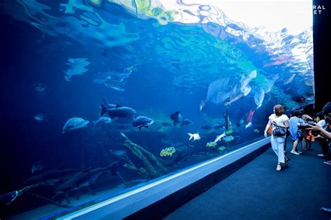 Giant aquarium opens at Central Phuket shopping centre - Inside Retail Asia