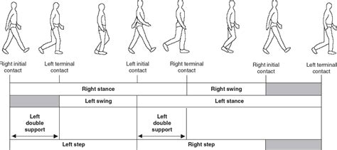 Disorders of Gait | Neupsy Key