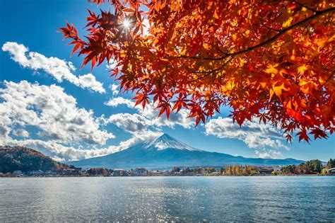 Free Photo | Autumn Season and Fuji mountain at Kawaguchiko lake, Japan.