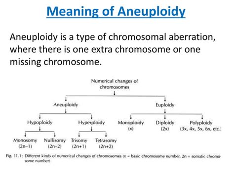 Aneuploidy | PPT