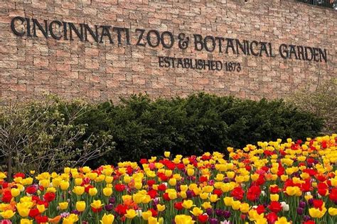 Skip the Line: Cincinnati Zoo Adventure Ticket 2024