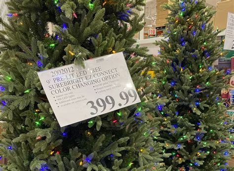 Does Costco have live Christmas trees this year? - Review Guruu