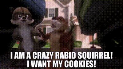 YARN | I am a crazy rabid squirrel! I want my cookies! | Over the Hedge (2006) | Video clips by ...