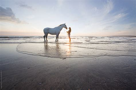 «Horse On The Beach At Sunset.» del colaborador de Stocksy «Hugh Sitton» - Stocksy