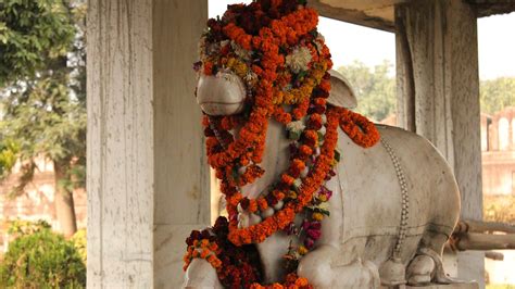 New Vishwanath Temple Bhu - History, Timings, Story, Location, Architecture, Photos | Adotrip