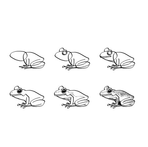 How To Draw A Realistic Frog